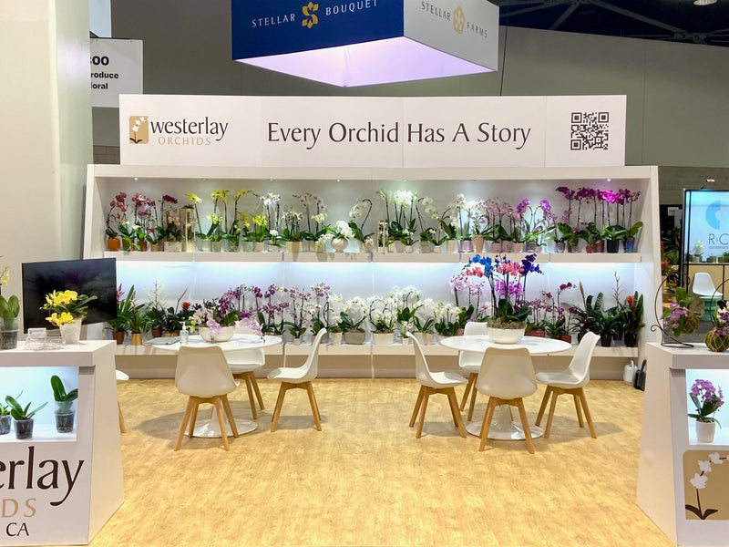 Visit Westerlay Orchids at the 2023 IFPA Convention