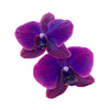 Black Sapphire Gemstone Orchid - 1 Pack